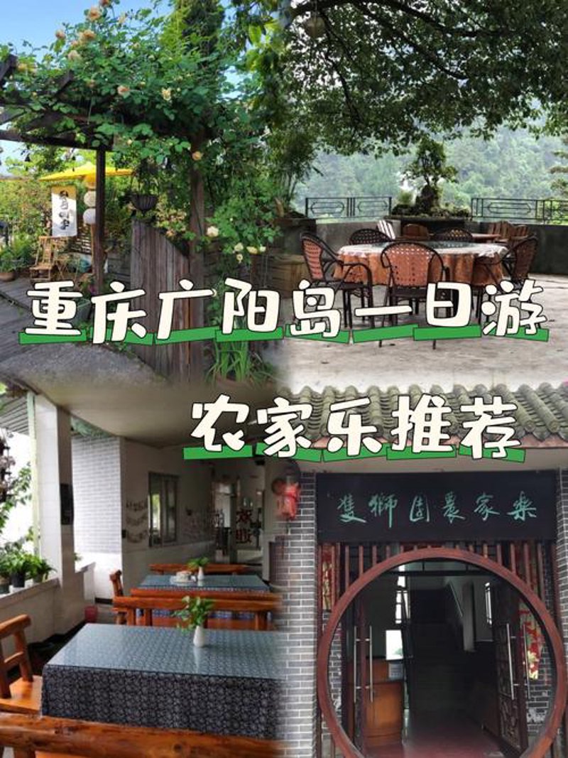 如何高效掌握葡萄批发秘诀