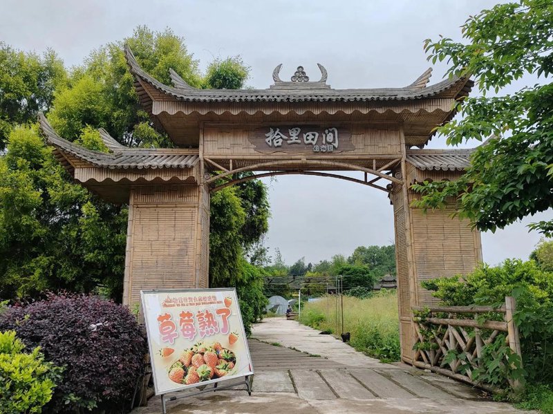 葡萄采摘园