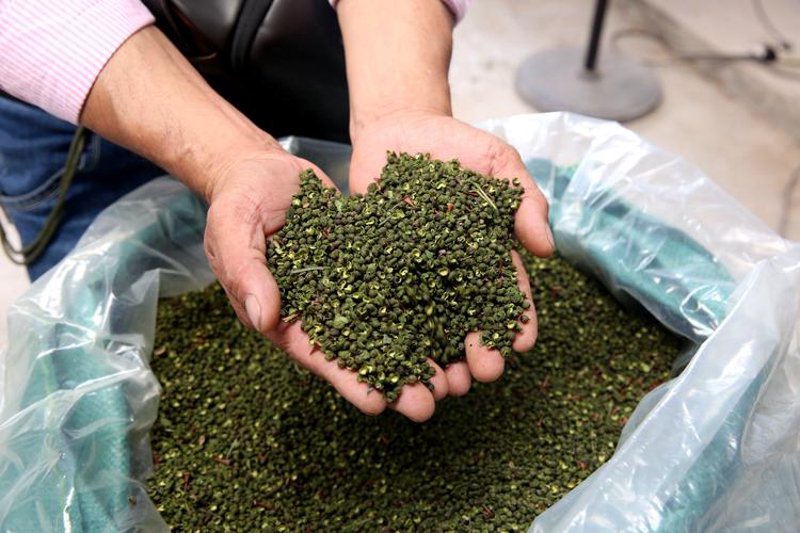 探寻綦江葡萄园的秘密：选择与搭配小技巧